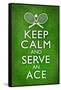 Keep Calm and Serve an Ace Tennis-null-Framed Stretched Canvas