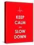 Keep Calm and Slow down Banner-place4design-Stretched Canvas