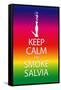Keep Calm and Smoke Salvia Rainbow Poster Print-null-Framed Stretched Canvas