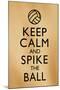 Keep Calm and Spike the Ball Beach Volleyball Poster-null-Mounted Poster