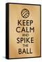 Keep Calm and Spike the Ball Beach Volleyball Poster-null-Framed Stretched Canvas