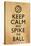 Keep Calm and Spike the Ball Beach Volleyball Poster-null-Stretched Canvas