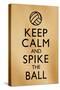 Keep Calm and Spike the Ball Beach Volleyball-null-Stretched Canvas
