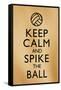 Keep Calm and Spike the Ball Beach Volleyball-null-Framed Stretched Canvas