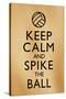 Keep Calm and Spike the Ball Beach Volleyball-null-Stretched Canvas