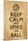 Keep Calm and Spike the Ball Beach Volleyball-null-Mounted Poster