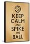 Keep Calm and Spike the Ball Beach Volleyball-null-Framed Stretched Canvas