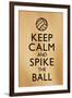 Keep Calm and Spike the Ball Beach Volleyball-null-Framed Art Print