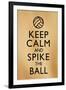 Keep Calm and Spike the Ball Beach Volleyball-null-Framed Art Print