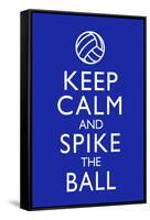 Keep Calm and Spike the Ball Volleyball Poster-null-Framed Stretched Canvas