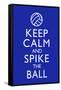 Keep Calm and Spike the Ball Volleyball Poster-null-Framed Stretched Canvas