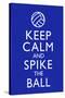 Keep Calm and Spike the Ball Volleyball Poster-null-Stretched Canvas