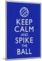 Keep Calm and Spike the Ball Volleyball-null-Mounted Poster