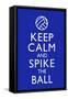 Keep Calm and Spike the Ball Volleyball-null-Framed Stretched Canvas