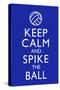 Keep Calm and Spike the Ball Volleyball-null-Stretched Canvas