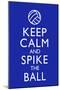 Keep Calm and Spike the Ball Volleyball-null-Mounted Poster