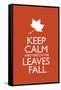 Keep Calm and Watch the Leaves Fall Poster-null-Framed Stretched Canvas