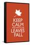 Keep Calm and Watch the Leaves Fall-null-Framed Stretched Canvas