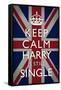 Keep Calm Harry is Still Single Poster-null-Framed Stretched Canvas