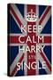 Keep Calm Harry is Still Single-null-Stretched Canvas