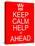 Keep Calm Help is Ahead-mybaitshop-Stretched Canvas