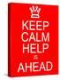 Keep Calm Help is Ahead-mybaitshop-Stretched Canvas