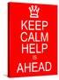 Keep Calm Help is Ahead-mybaitshop-Stretched Canvas