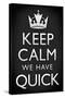 Keep Calm We Have Quick Sports Poster-null-Stretched Canvas