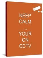 Keep Calm Your're on CCTV-Whoartnow-Stretched Canvas