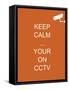 Keep Calm Your're on CCTV-Whoartnow-Framed Stretched Canvas