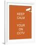 Keep Calm Your're on CCTV-Whoartnow-Framed Giclee Print