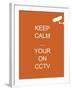 Keep Calm Your're on CCTV-Whoartnow-Framed Giclee Print