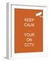 Keep Calm Your're on CCTV-Whoartnow-Framed Giclee Print