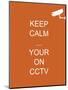 Keep Calm Your're on CCTV-Whoartnow-Mounted Premium Giclee Print