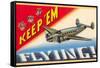 Keep 'em Flying-null-Framed Stretched Canvas