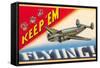 Keep 'em Flying-null-Framed Stretched Canvas