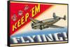 Keep 'em Flying-null-Framed Stretched Canvas