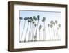 Keep Palm and Carry On-Elena Chukhlebova-Framed Photographic Print