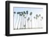 Keep Palm and Carry On-Elena Chukhlebova-Framed Photographic Print