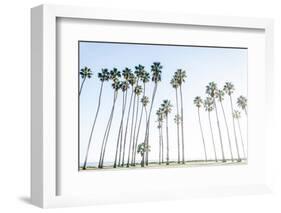 Keep Palm and Carry On-Elena Chukhlebova-Framed Photographic Print