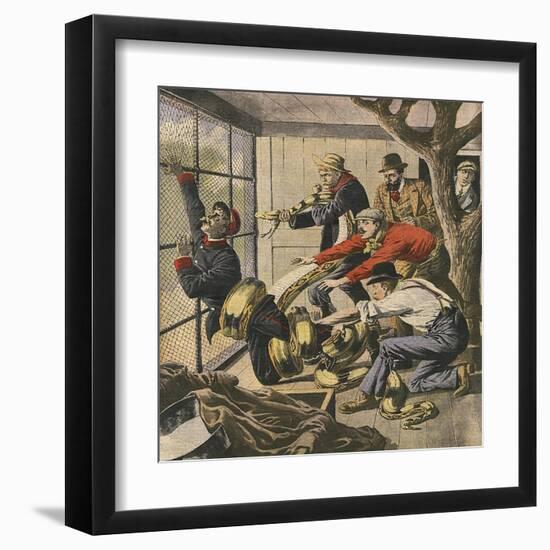 Keeper and Boa-null-Framed Art Print