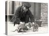 Keeper, H. Warwick, with a Tiger Cub and a Peccary, Taken at Zsl London Zoo, May 1914-Frederick William Bond-Stretched Canvas