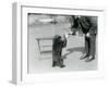 Keeper Harry Warwick Bottle Feeds a Sloth Bear Cub at London Zoo, August 1921-Frederick William Bond-Framed Photographic Print