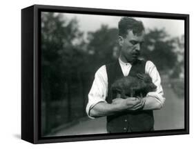 Keeper Harry Warwick Cradles a Baby Warthog in His Arms at London Zoo, August 1922-Frederick William Bond-Framed Stretched Canvas