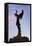 Keeper of the Plains Statue, Wichita, Kansas, USA-Walter Bibikow-Framed Stretched Canvas