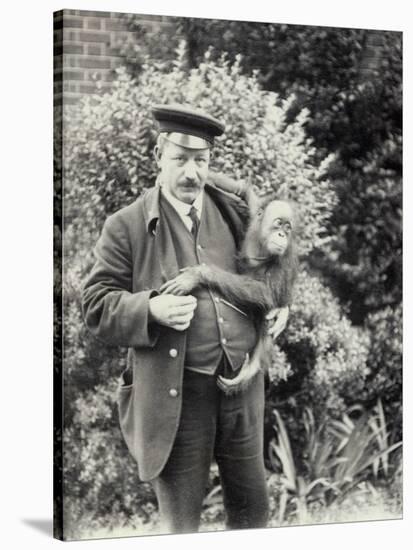 Keeper Z. Rodwell Holding Young Orangutan at London Zoo, October 1913-Frederick William Bond-Stretched Canvas