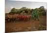 Keepers Lead Elephants-James Morgan-Mounted Photographic Print