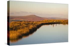 Keepers Pond, Blorenge, Sugar Loaf Mountain, Brecon Beacons, Wales, U.K.-Billy Stock-Stretched Canvas