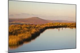 Keepers Pond, Blorenge, Sugar Loaf Mountain, Brecon Beacons, Wales, U.K.-Billy Stock-Mounted Photographic Print