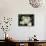 Keeping Secrets-Edward Loedding-Stretched Canvas displayed on a wall